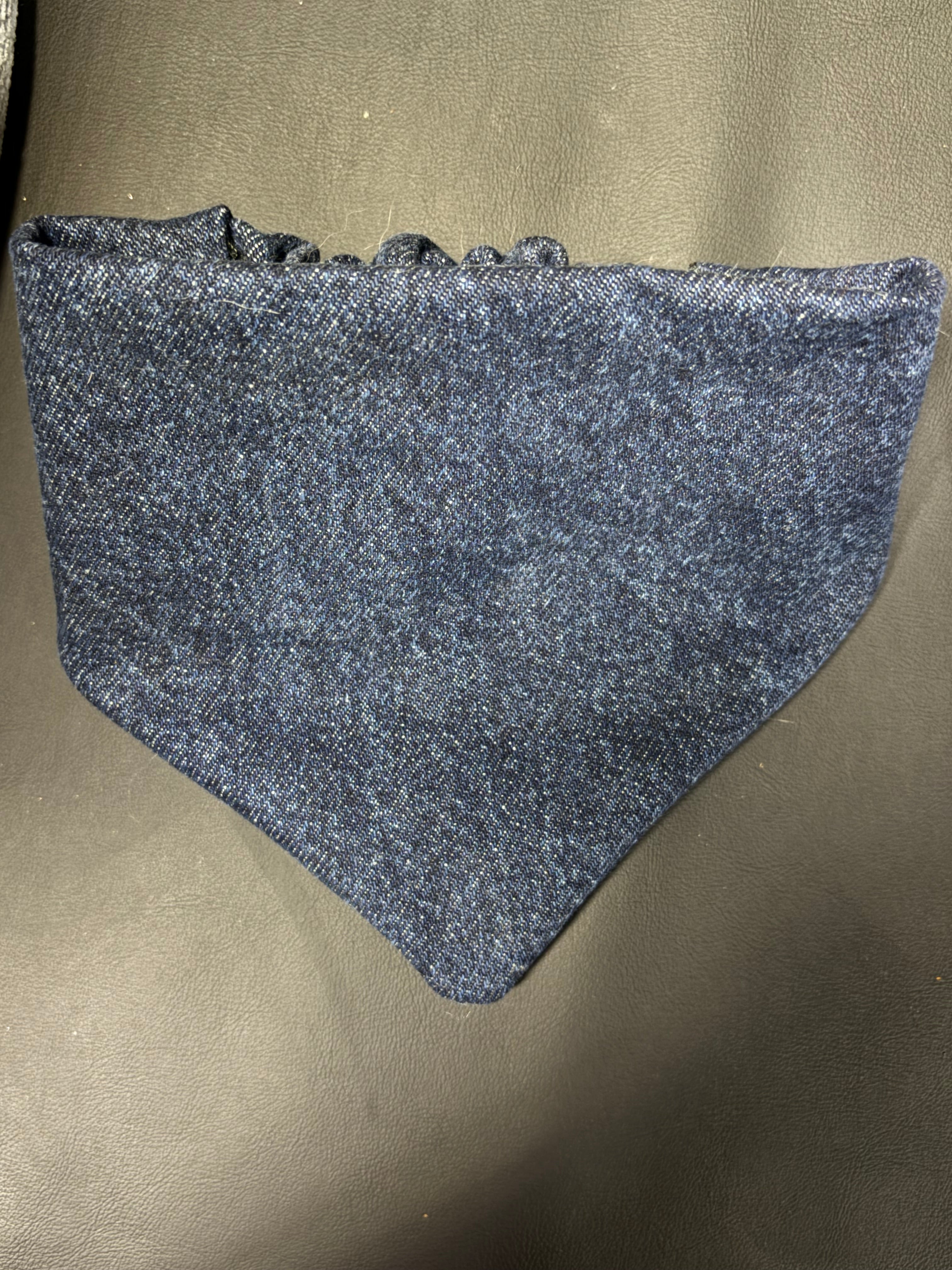 Kitten over the collar bandana